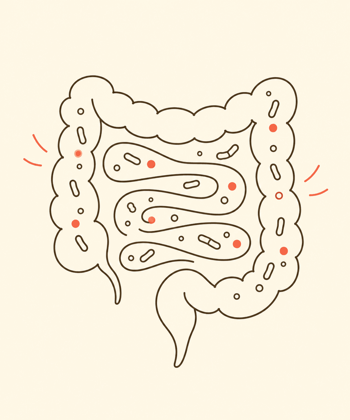 Ilustração em line art do intestino grosso com pequenos pontos representando microrganismos, alguns em destaque coral
